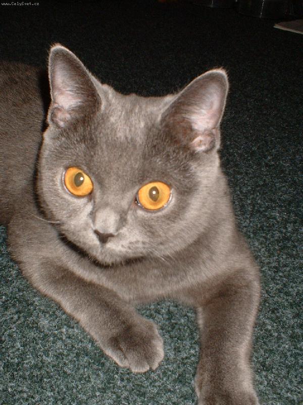 Foto: Na�e ���a Deniska-No to jsem je�t� nevid�la