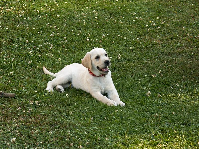 Foto: Na�e Nettynka