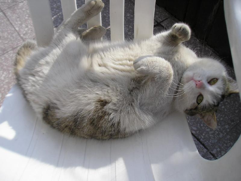 Foto: To je jen moje �idle!