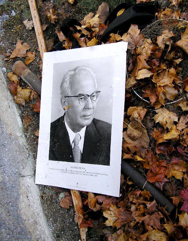 Foto: U lesa-Co se d� tak� naj�t v lese