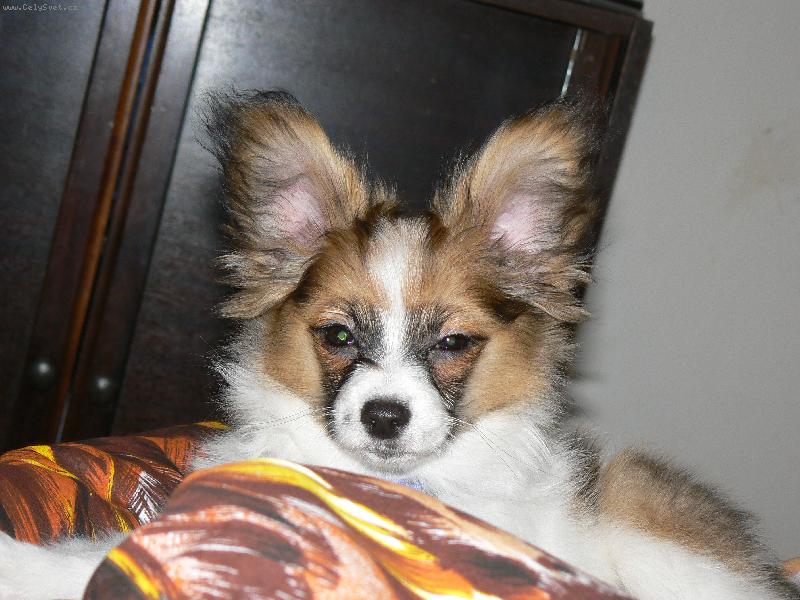 Foto: Jsem frajer, ne?