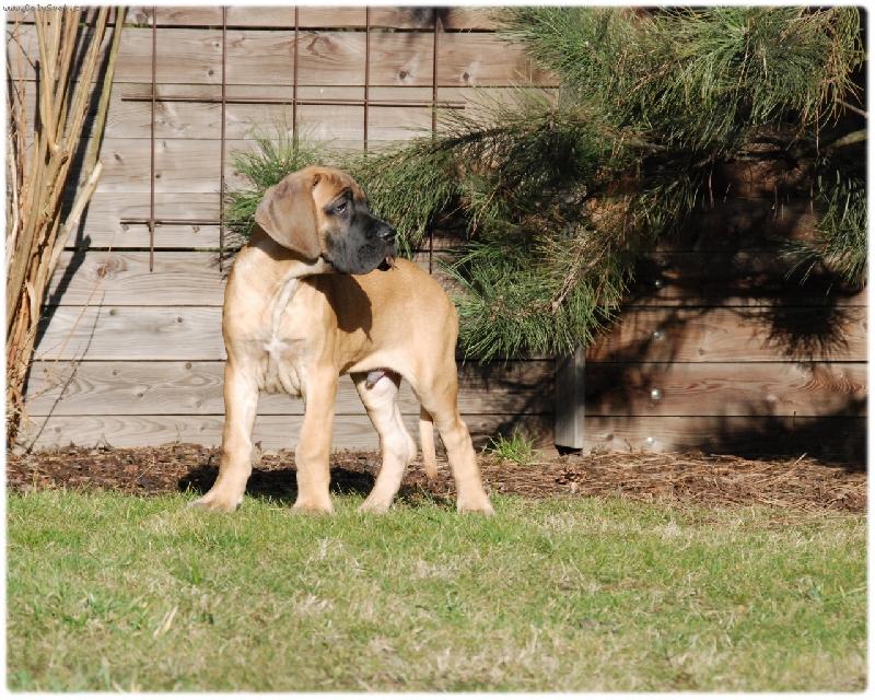 Foto: Kr�sn� lednov� den-Carmello