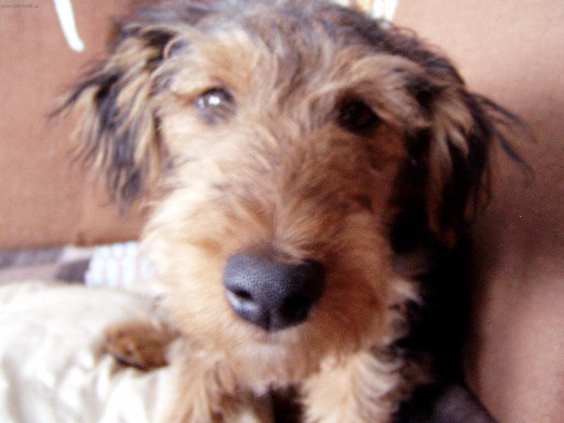 Foto: Nero-N� �um��ek