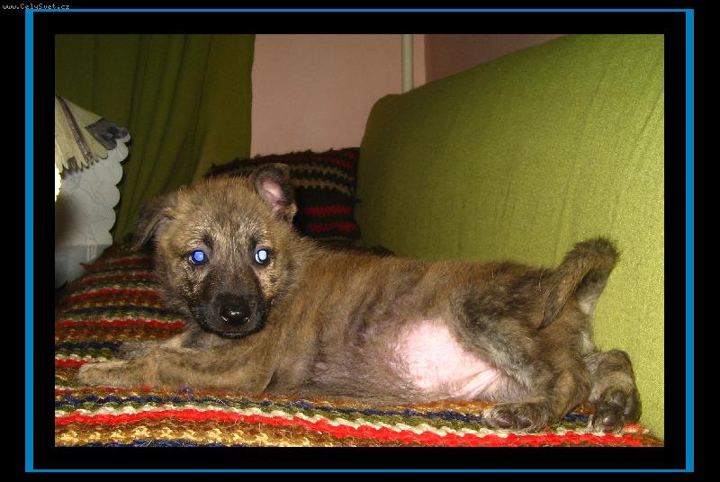 Foto: J� jsem D�enka a todle je m�j pup�k:)