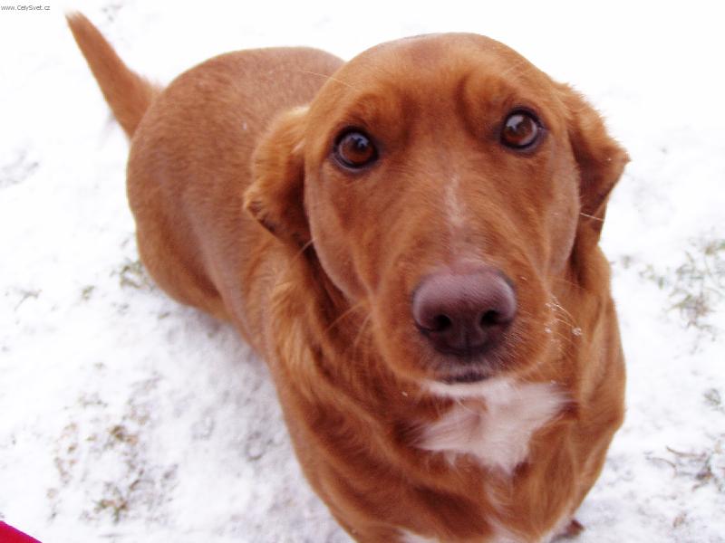 Foto: Boris-N� prasopes:-))