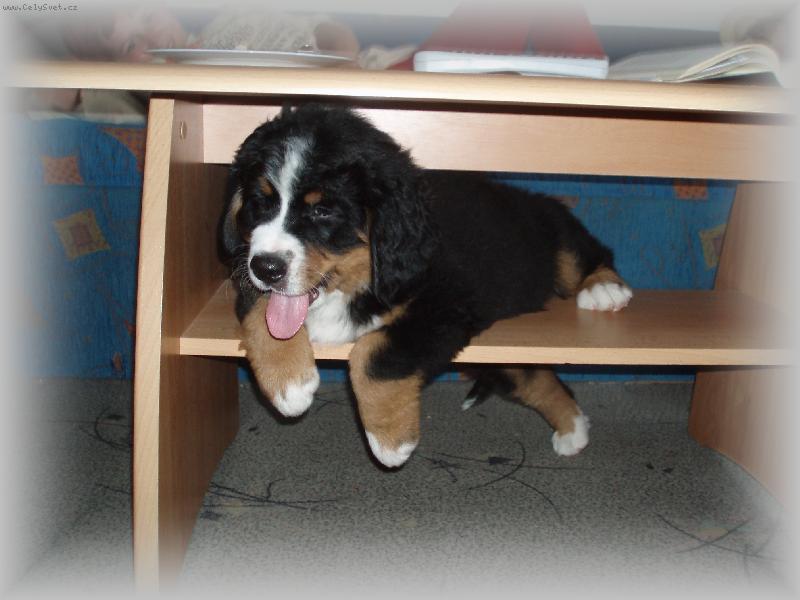 Foto: super mieste�ko-super mieste�ko