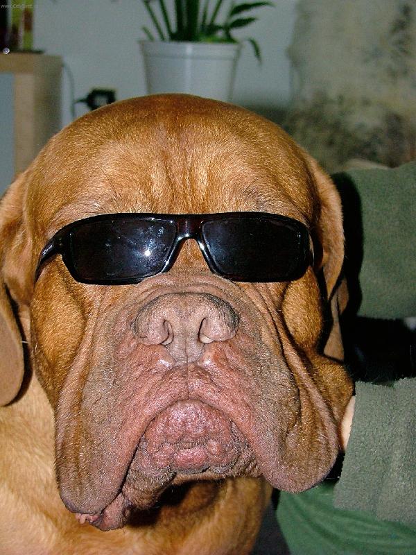 Foto: m�m to pod kontrolou