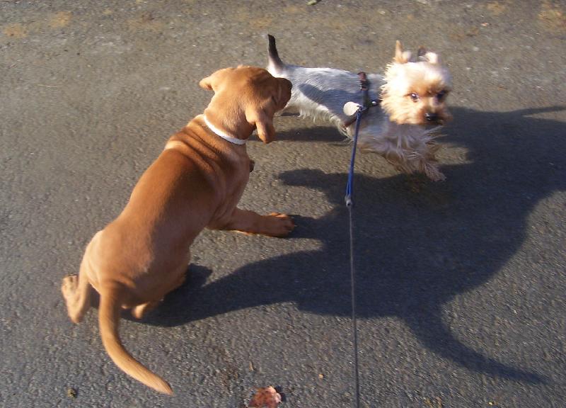 Foto: Chyt�m t�!!!