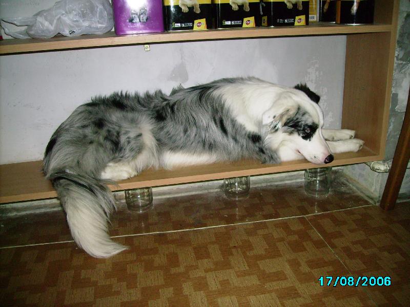 Foto: BAD-nen� nad klidn� m�sto