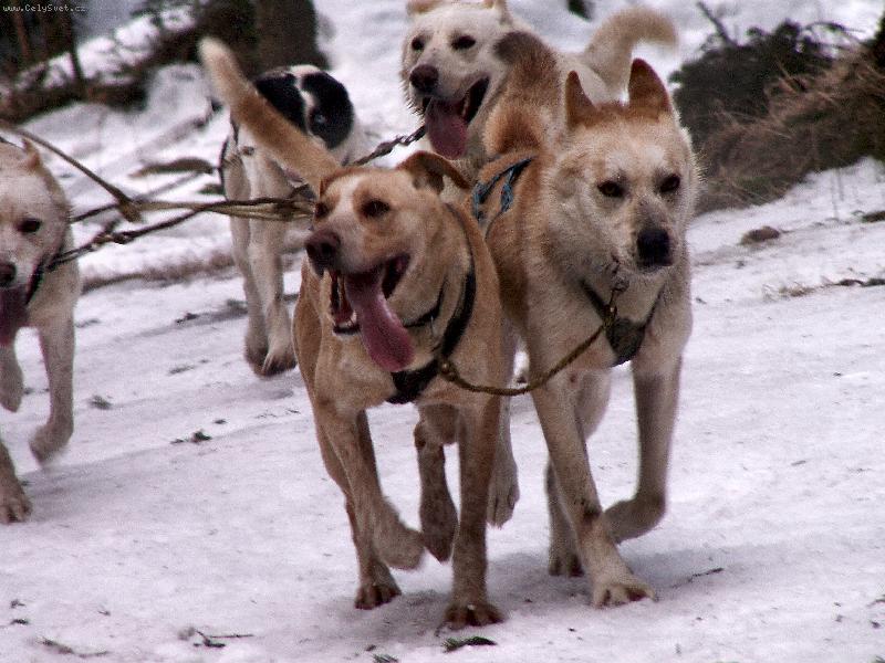 Foto: Rychle do c�le