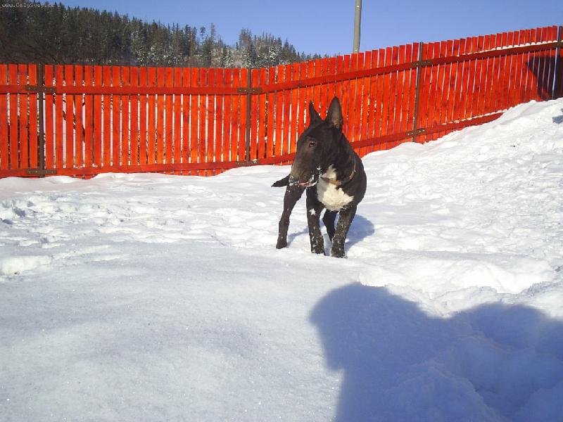 Foto: Ozzy-Kampak zmizel sn�h???