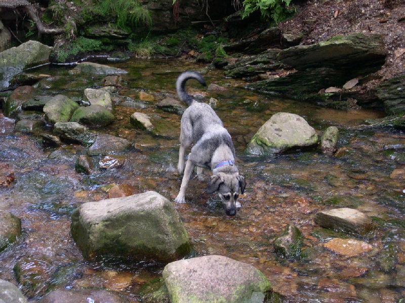 Foto: Na kyselce-Razi�ka