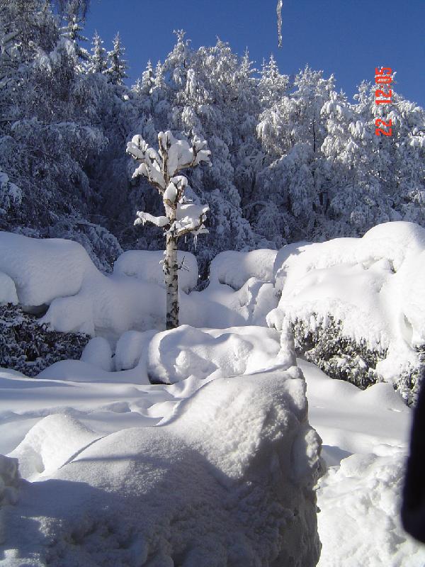 Foto: Zima-Lo�sk� zima