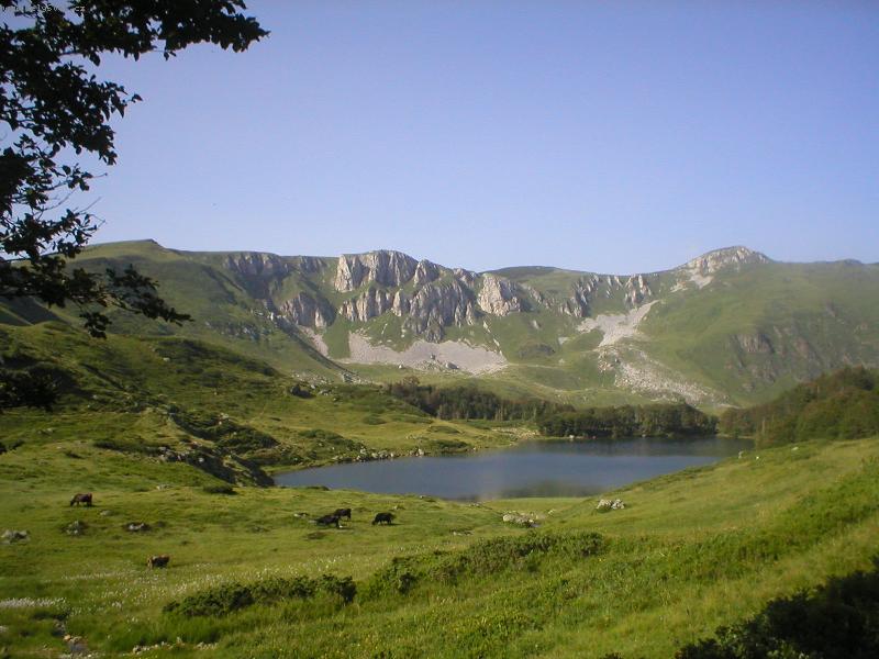 Foto: Klidn� pastva