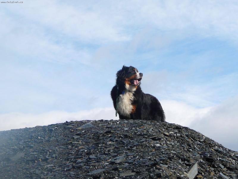 Foto: Edy-na lomu He�manice