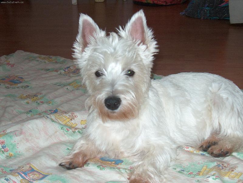 Foto: Scotty-Co se to d�je