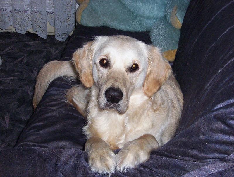 Foto: Retr�v�� kuku�-Falco p�i �ek�n� na start :-)