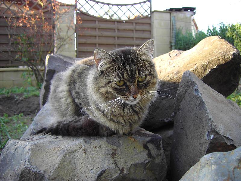 Foto: M�na-Minu�ka se vyh��v�