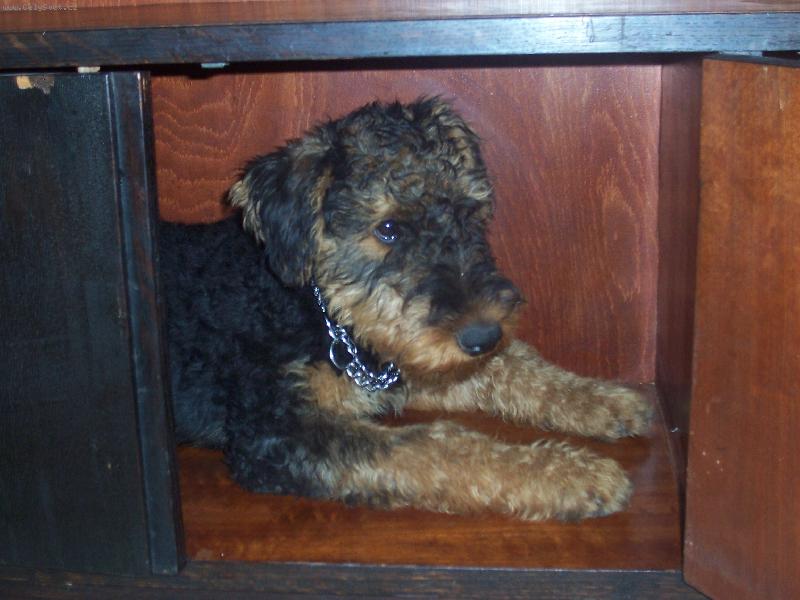 Foto: taky boudi�ka-na�e �t���tko erdela ve sk��ni