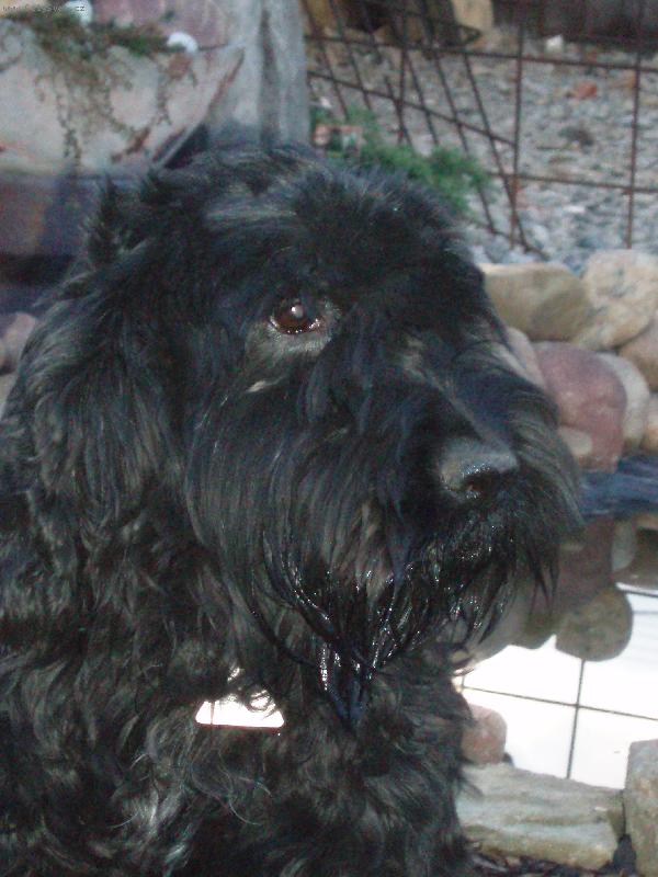 Foto: Bedinka-Z profilu vypad�m l�p?