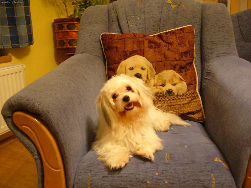 Foto: Peggy-Co to ��k�, pani�ko???