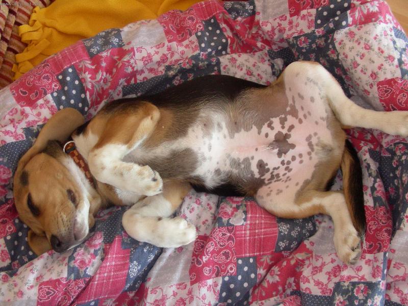 Foto: Nejobl�ben�j�� poloha