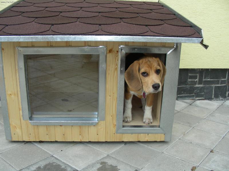 Foto: To je moje boude�ka