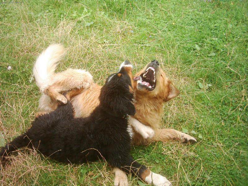 Foto: Max-Max a k�mo�ka:))