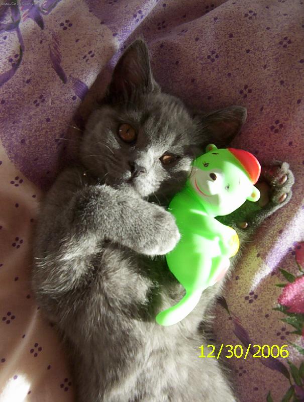 Foto: Bob��ky j� r�d