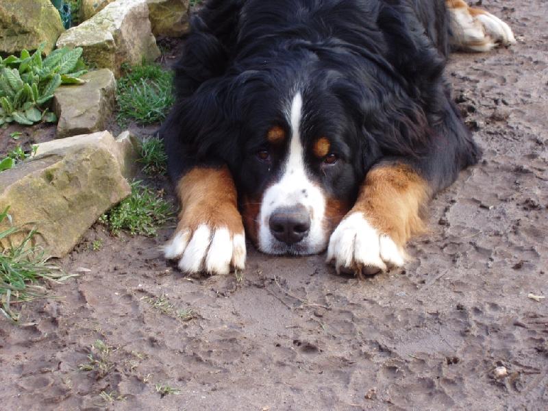 Foto: Bez koment��e....