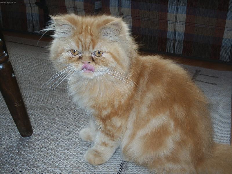 Foto: Max�k-M�am, m�am...