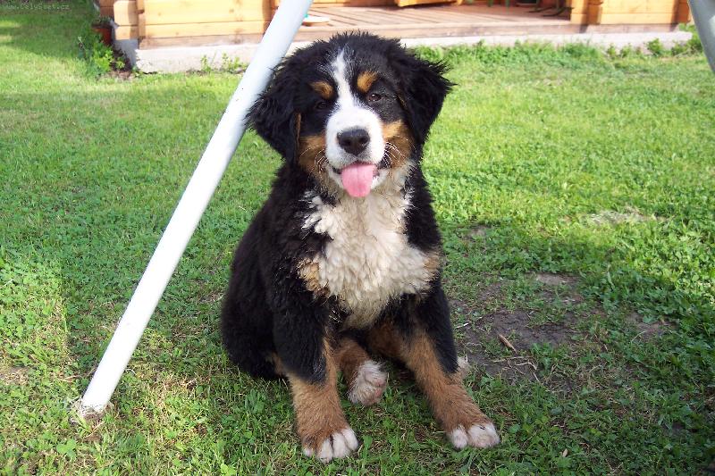 Foto: Kellynkaa:\)\)