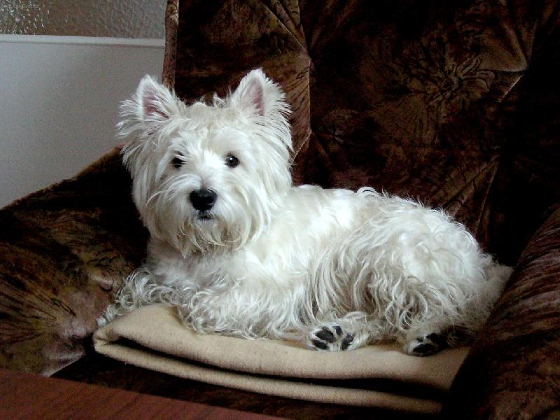 Foto: Denyho pohodl��ko