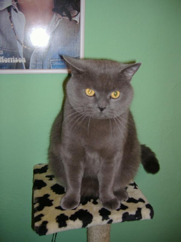 Foto: Bri��k-Osk�rek