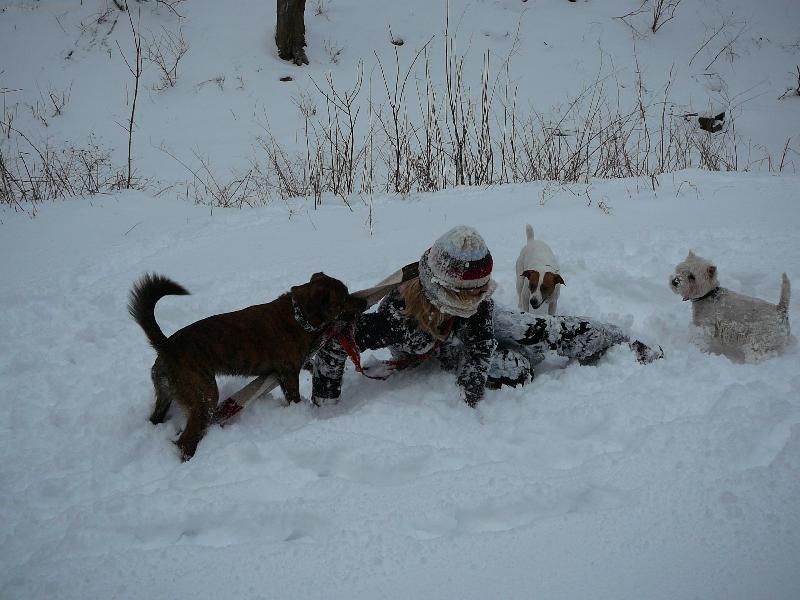 Foto: kdo m� v�c pejsk�