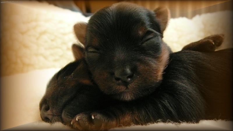 Foto: hlavi�ky-copak z n�s vyroste...