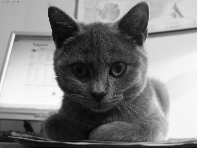 Foto: Z o�� do o��