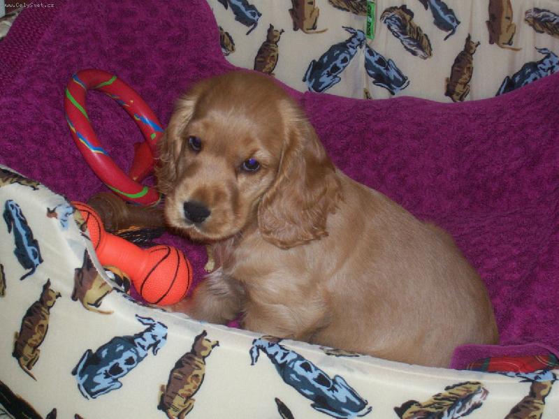 Foto: G�ba-to je ale pohled co? ;o)