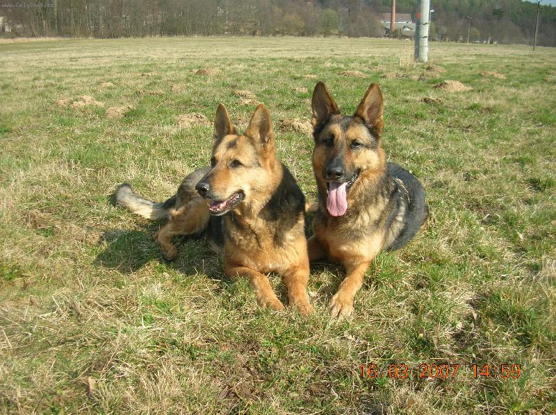 Foto: Asta s Charliem (m�ma a syn-13 a 9 let)