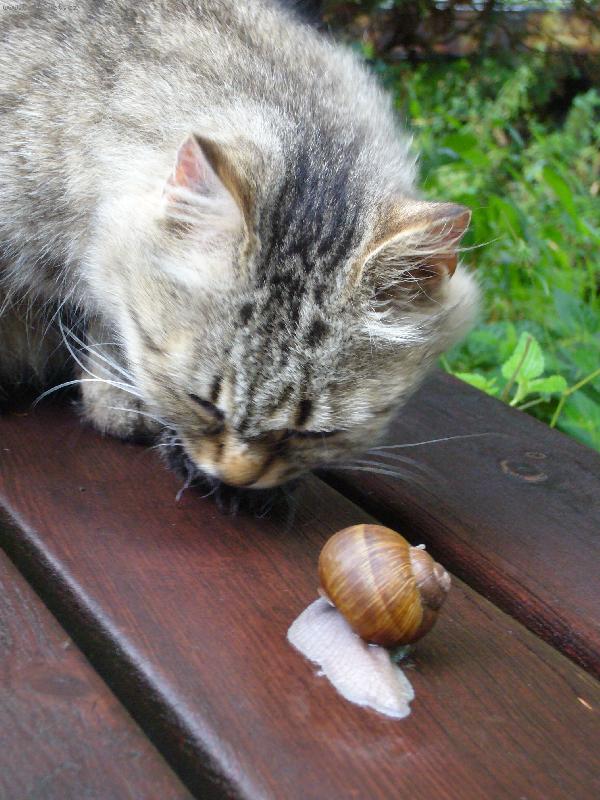 Foto: Pane, poj�te si hr�t