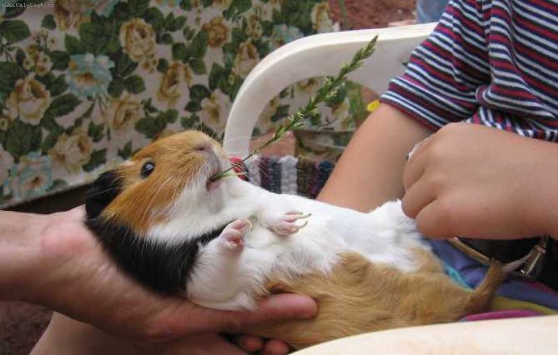 Foto: Zdarec.....!!!!