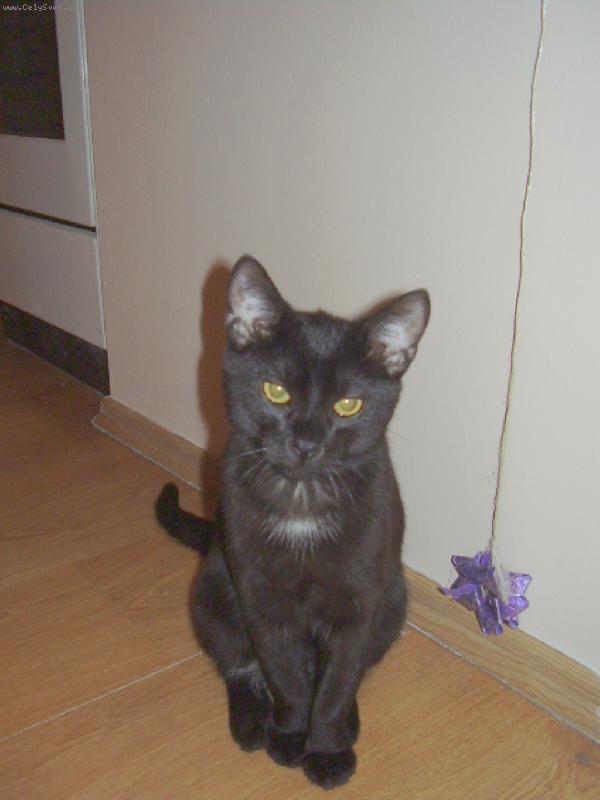 Foto: Mat�sek-Tak u� fo�, kdy� u� jsem kone�n� chvilku v klidu