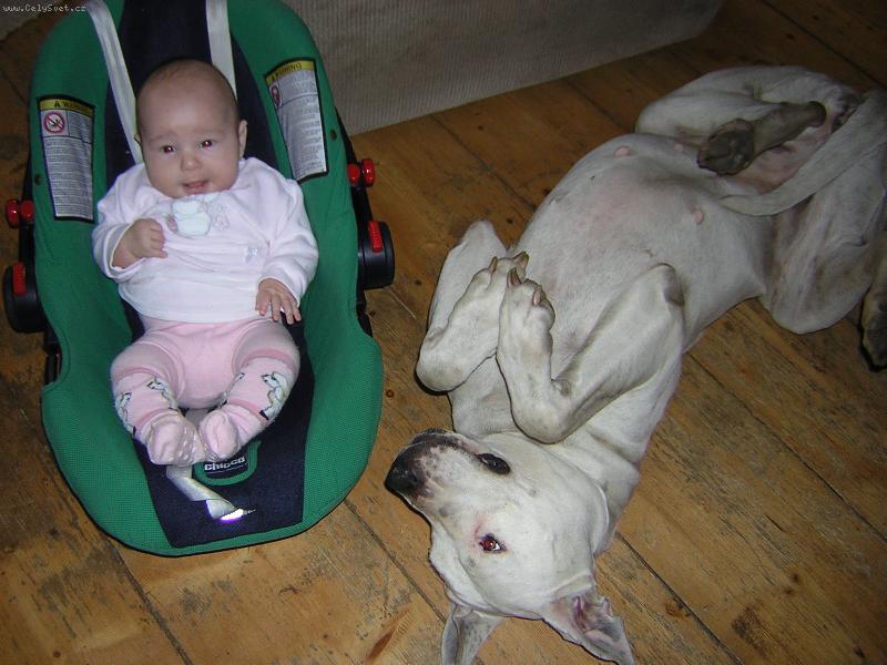 Foto: P��tel�-Nerozlu�n� kamar�di