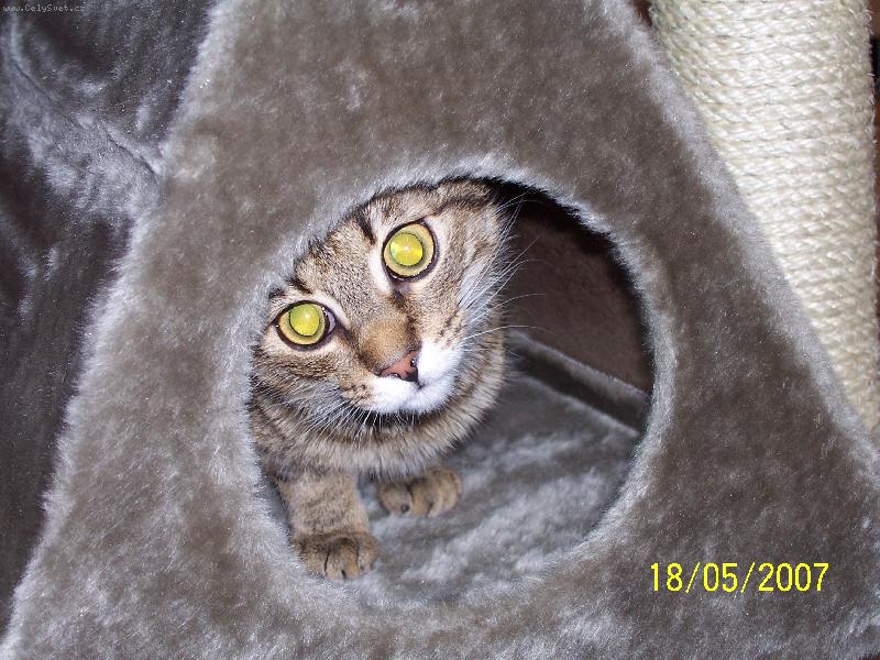 Foto: Tady jsem doma J�