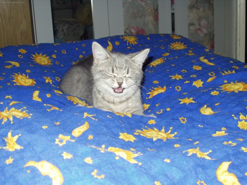 Foto: Pohoda-Sm�ch l���