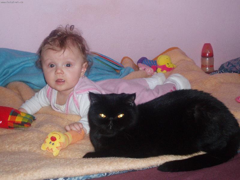 Foto: Osobn� str�kyn�