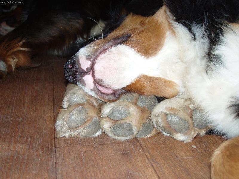 Foto: �nava-Fabio Bersaltyna