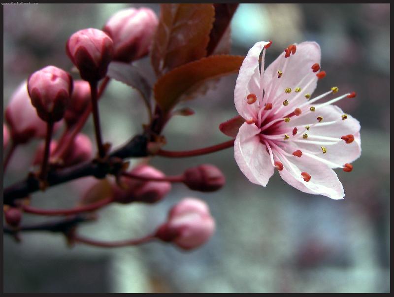 Foto: L�kadlo na M�ju