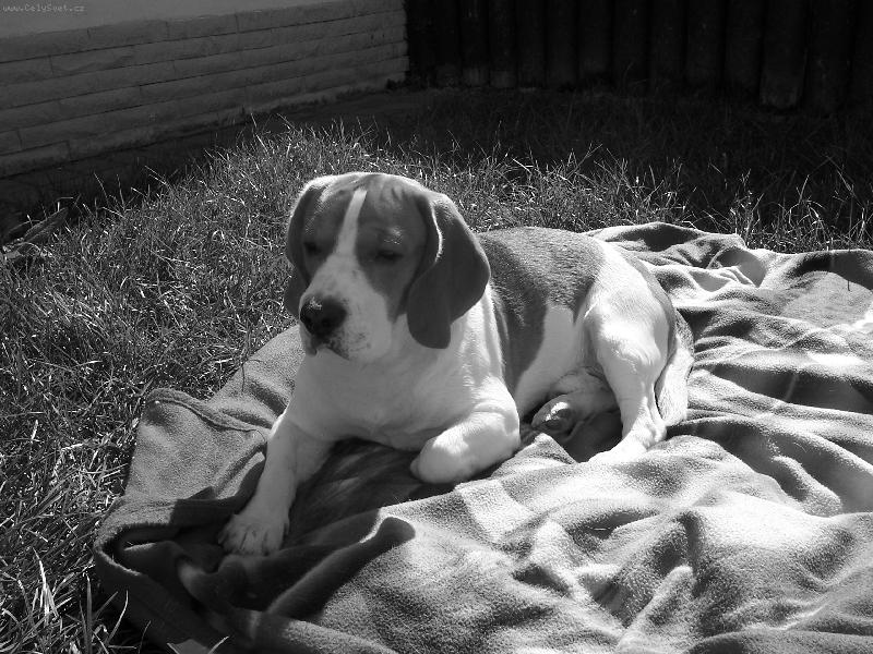 Foto: hlubok� p�em��len�-co jsem to jen cht�l