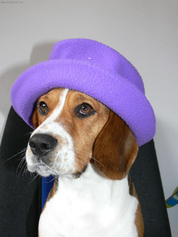 Foto: Supermodelka-Biggy